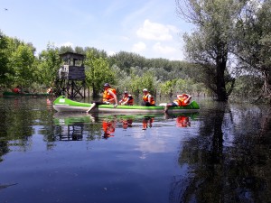 20190610_gemenc-kenutura-34.jpg