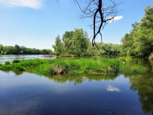 1drava-8.jpg