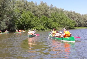 20180422_drau-1.jpg