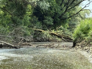 drava-menti-csodak-1.jpeg
