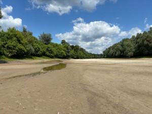 img_3968.jpg
