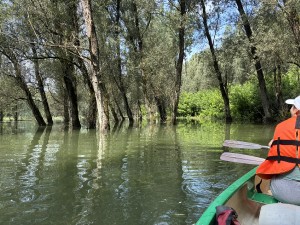 img_5499.jpeg