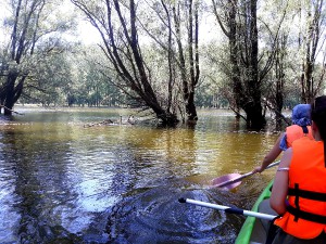 20190701_gemenci-kenutura-gemenc-vizitura.jpg